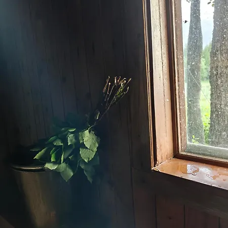 Citymoekki Kaupungissa Ferienhaus *