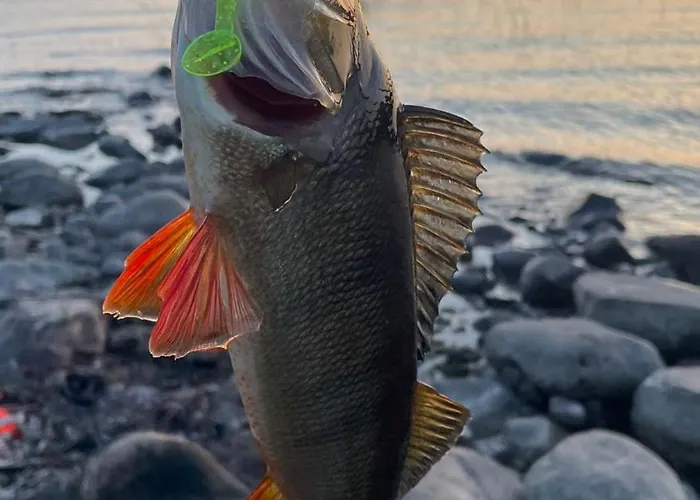 Citymoekki Kaupungissa Hébergement de vacances *